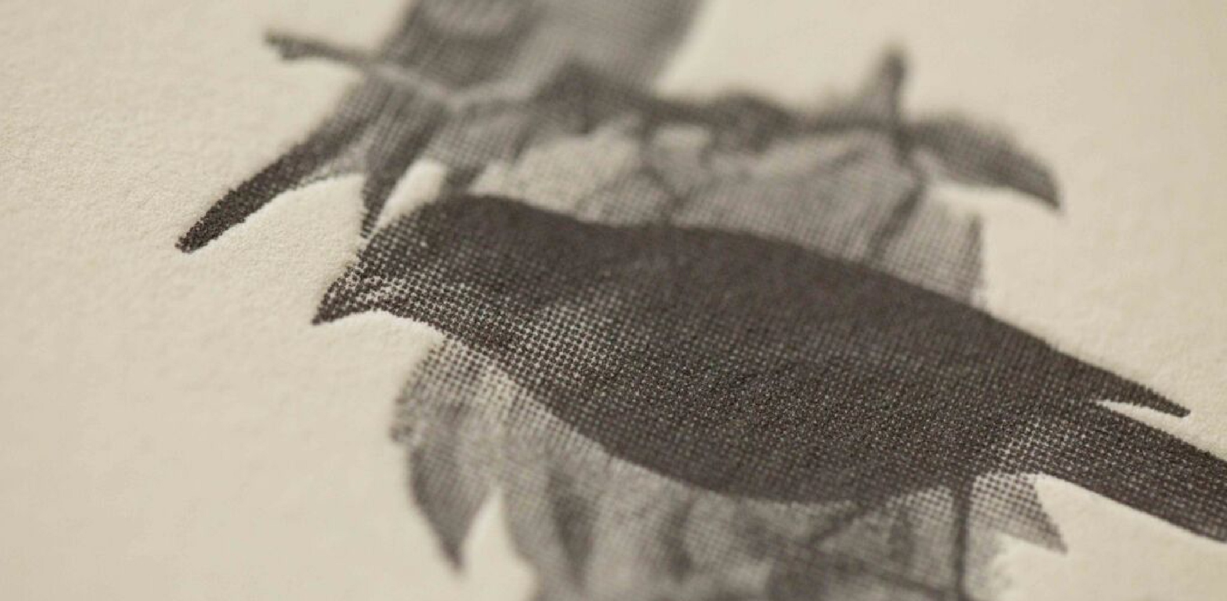 Printed Bird in Dark Gray on Ecru